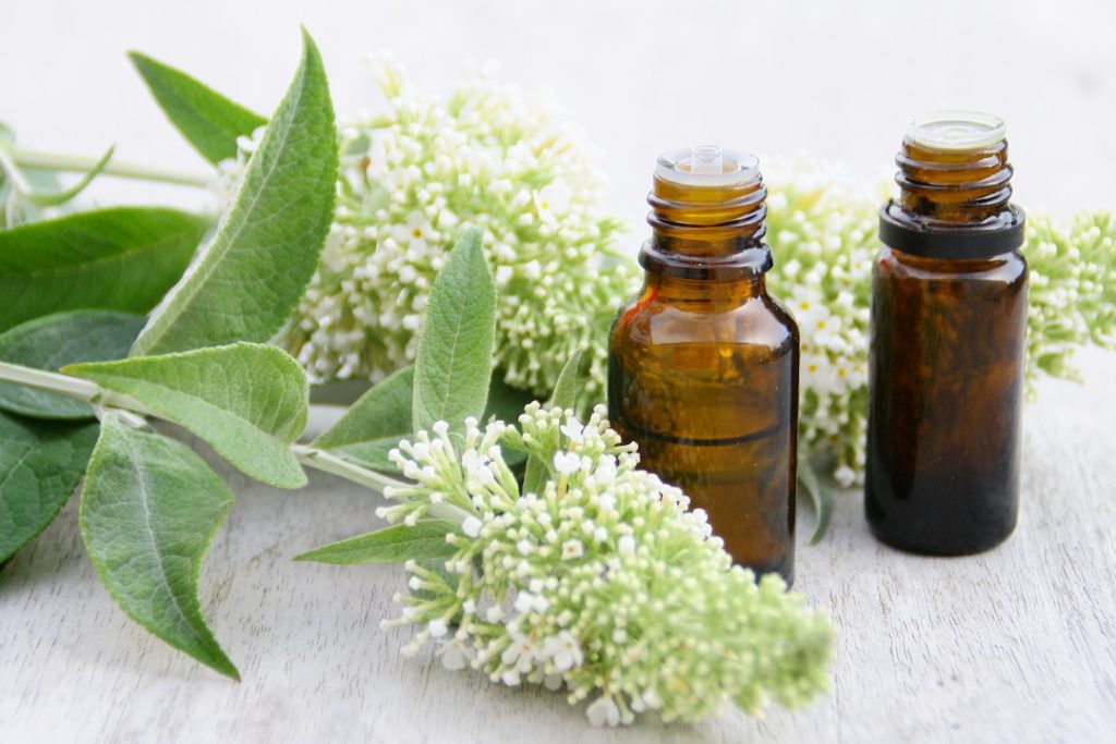 anti-stress, top 3 des plantes apaisantes