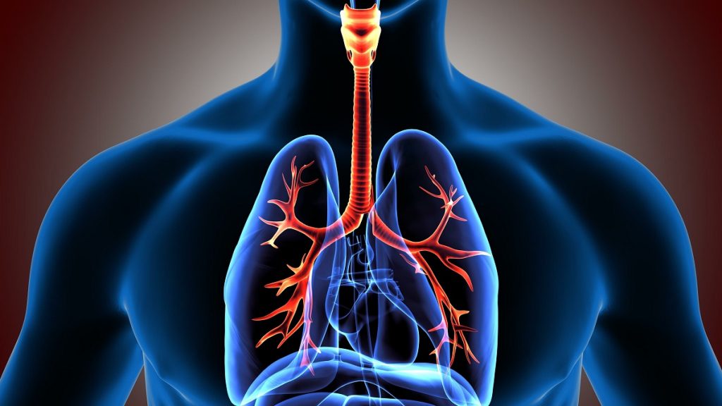 Corps étranger dans les voies respiratoire