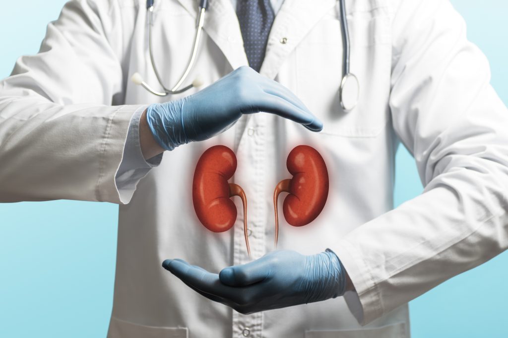 syndrome néphrotique : docteur avec des reins
