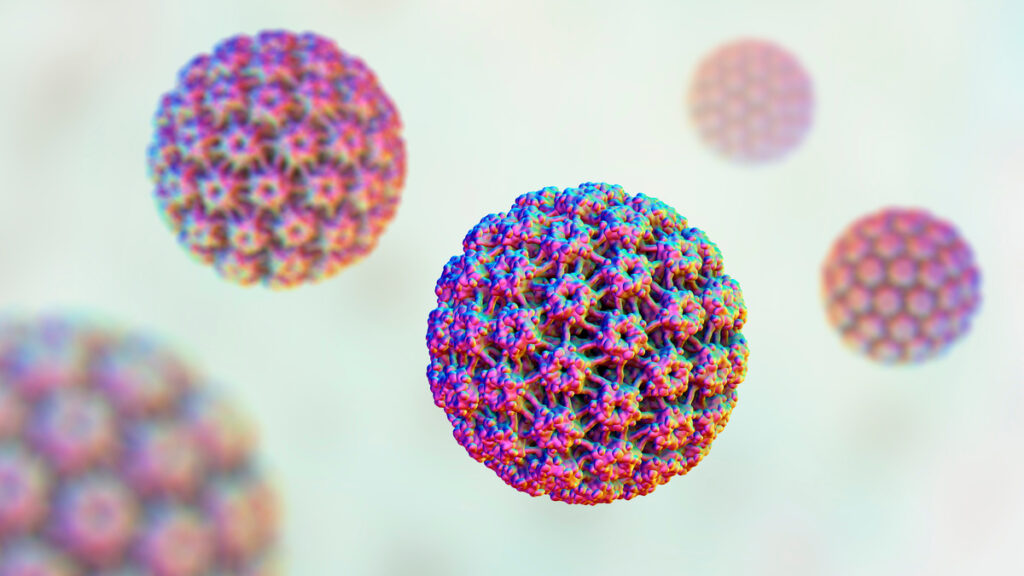 papillomavirus homme