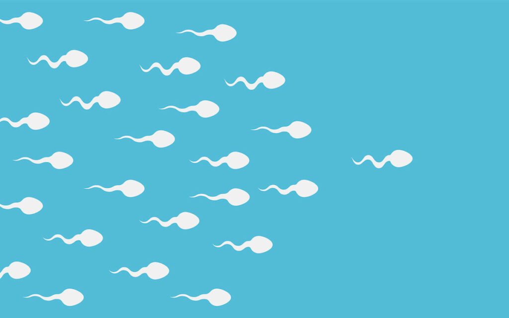 Spermatozoïdes : la fertilité masculine a baissé de 51,6%  en 45 ans