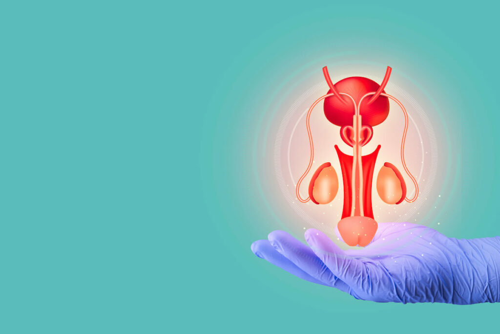 Ils retrouvent leur érection grâce à un tissu synthétique