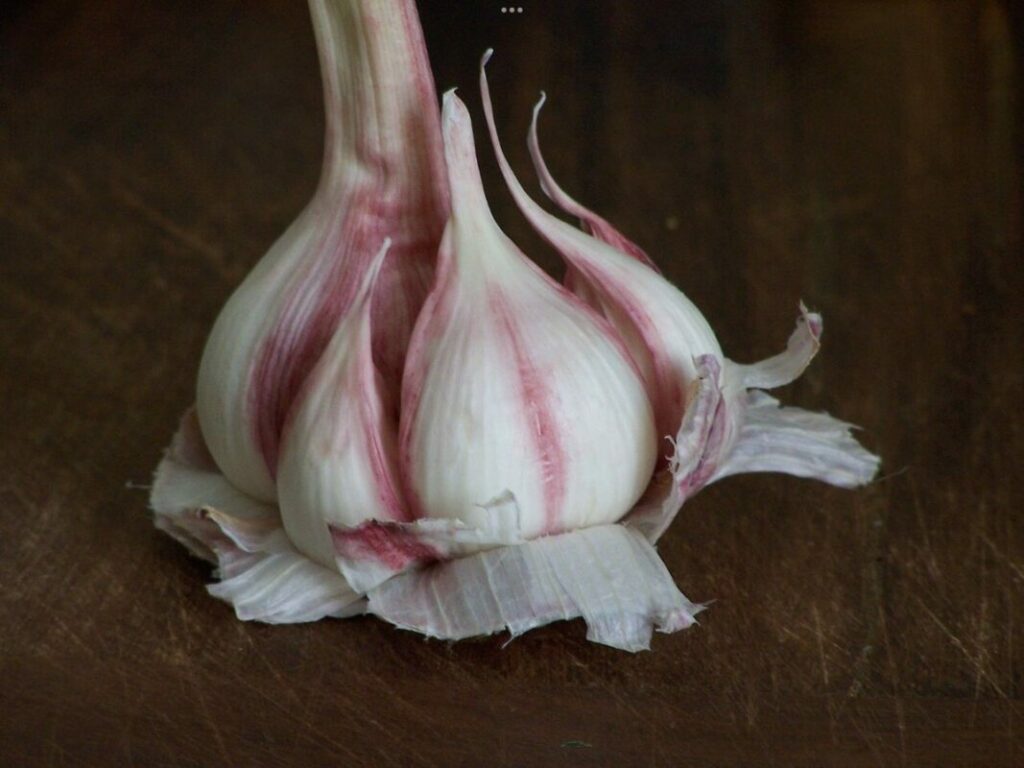 Aliments anti cancer