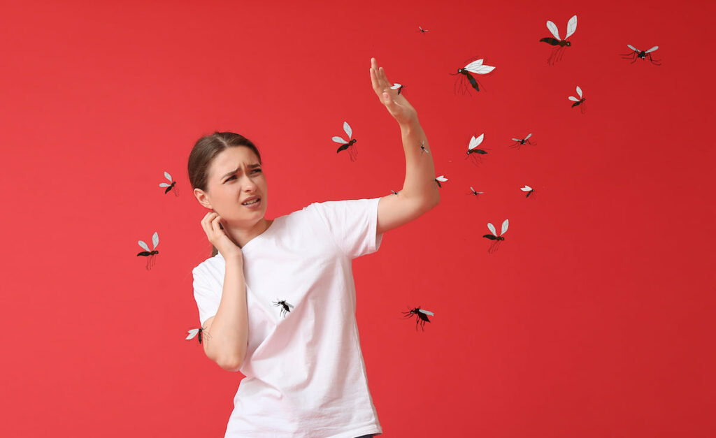 Moustique tigre : Quels sont les risques d’attraper une maladie tropicale? Moustique tigre : Quels sont les risques d’attraper une maladie tropicale?