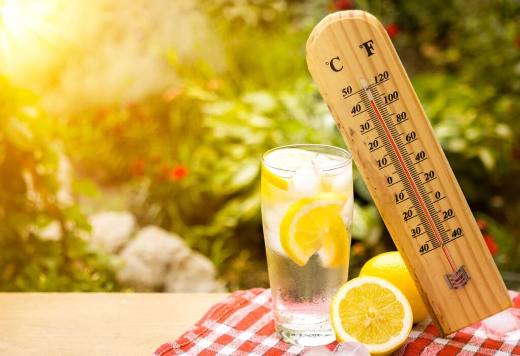 Canicule et maladie chroniques