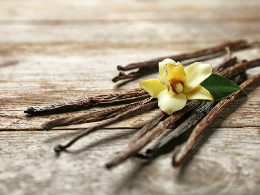 bienfaits dela vanille