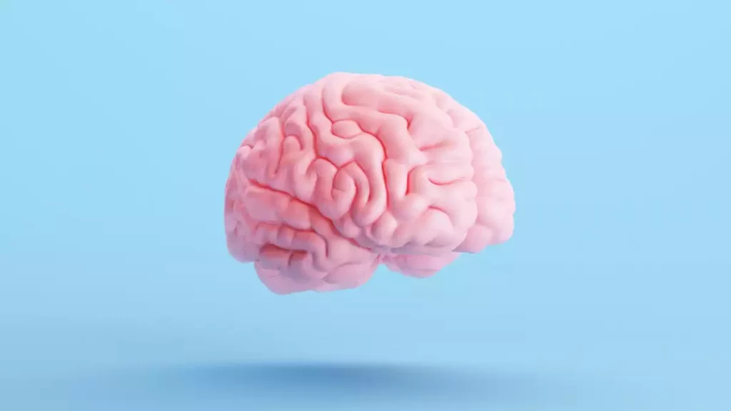 aliments bonne santé cerveau