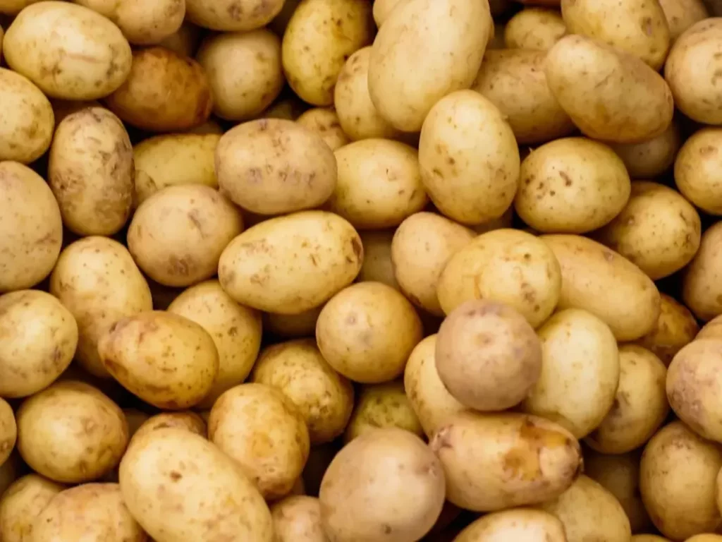 Bienfaits pommes de terre