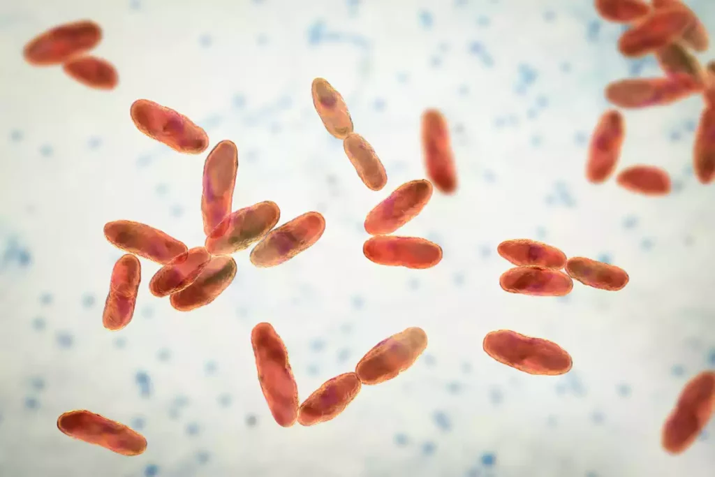 Comment se protéger des infections à Mycoplasma pneumoniae qui progressent en France ?