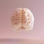 Voilà ce qui change dans votre cerveau après 50 ans