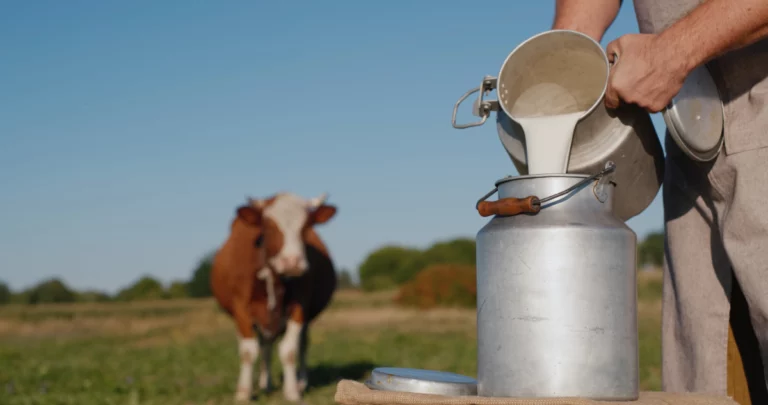 Ce lait serait aussi bénéfique que l'eau pour faire baisser rapidement votre glycémie